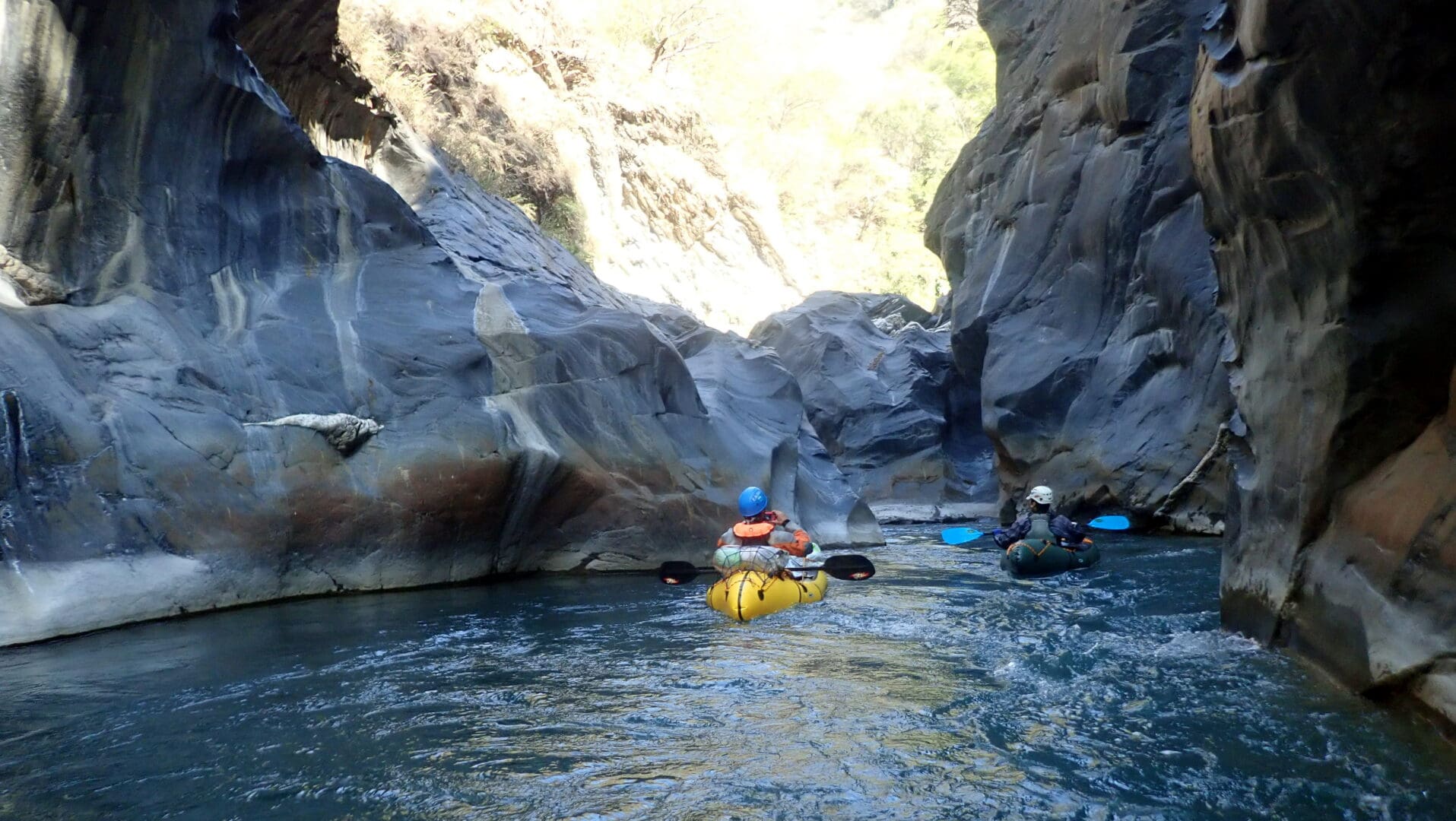 olympus-digital-camera-3